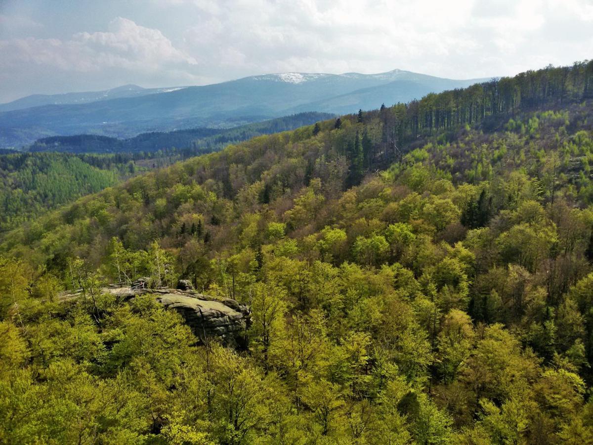 Drewniana Roza Willa Karkonosze Piechowice  Εξωτερικό φωτογραφία